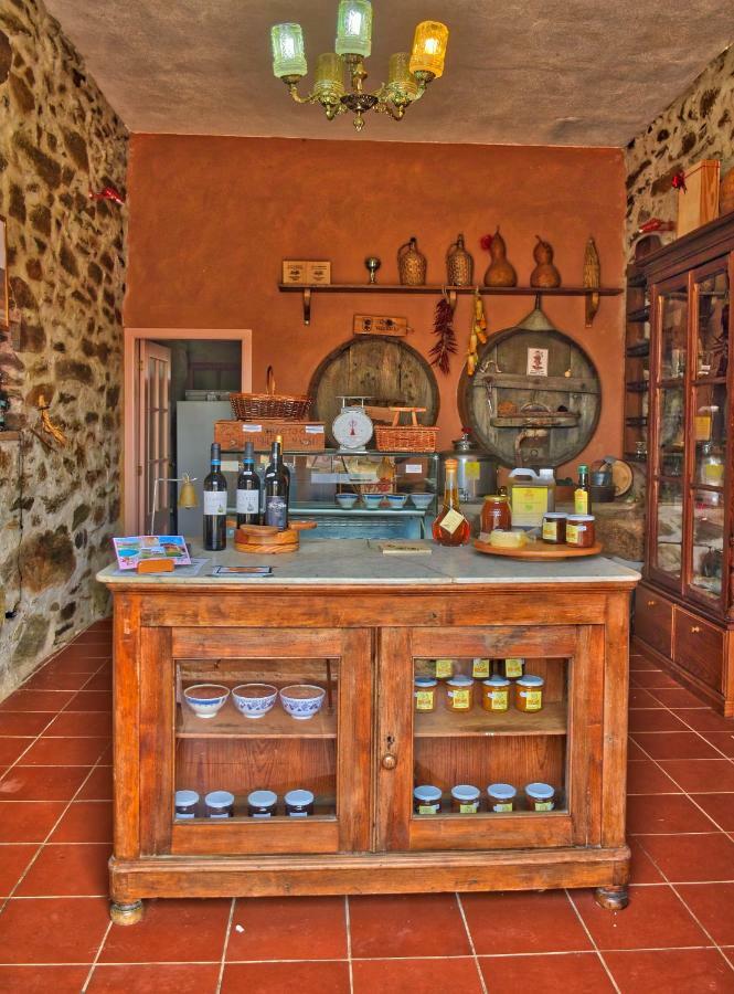 Quinta Do Barracao Da Vilarica Lodões Esterno foto