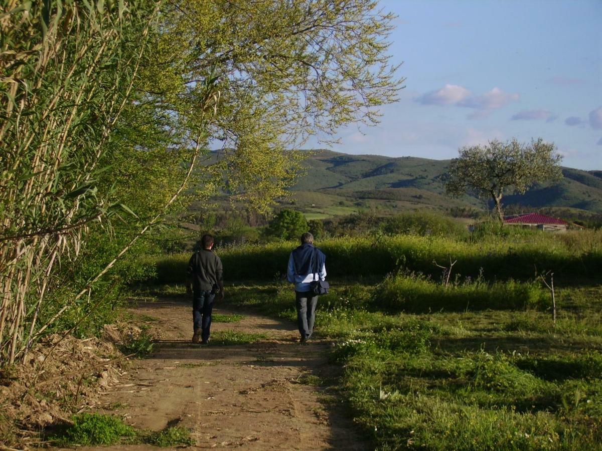 Quinta Do Barracao Da Vilarica Lodões Esterno foto